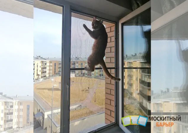 Установка сетки из усиленного профиля